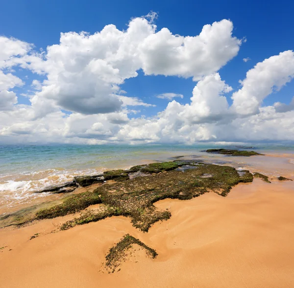 Strand am Meer an schönen Sommertagen — Stockfoto