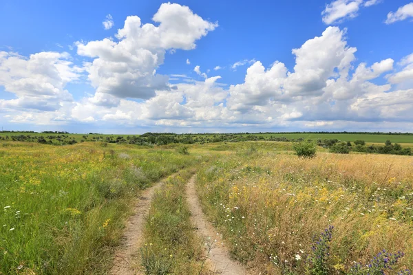 Landelijke weg in de steppe — Stockfoto