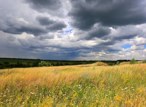 Letní louka pod temné mraky — Stock fotografie