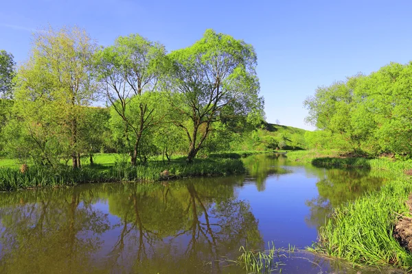 Scena lato nad jeziorem — Zdjęcie stockowe