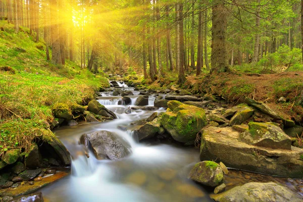 Mountain river
