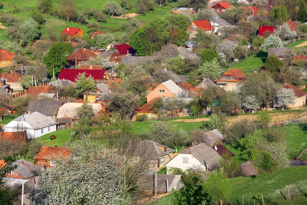 Visa om Karpaterna village — Stockfoto