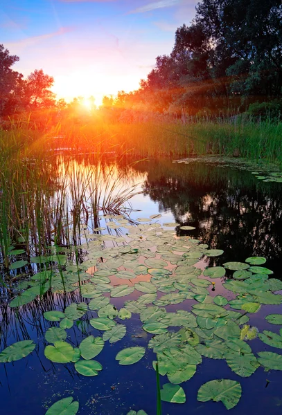 Puesta de sol en el río — Foto de Stock