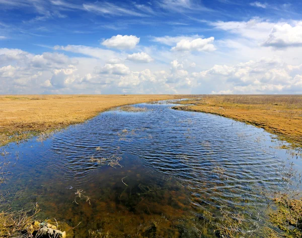 Lake in steppe — Stockfoto