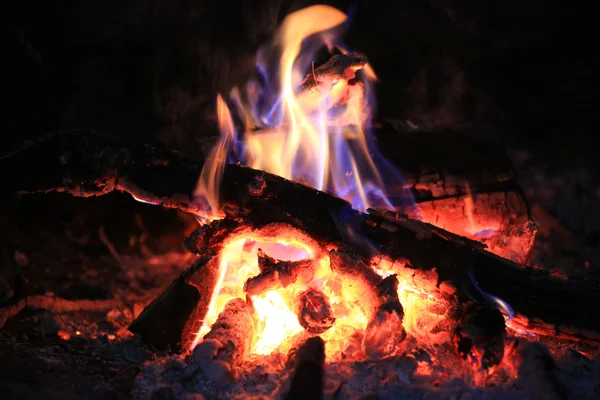 Verbranden van hout op kampvuur — Stockfoto