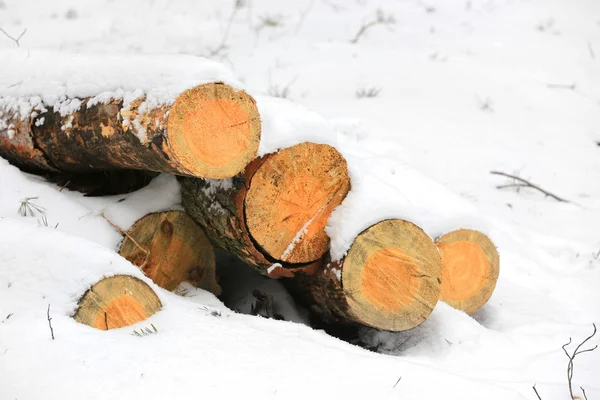 Wooden logs under snow — Stock Photo, Image