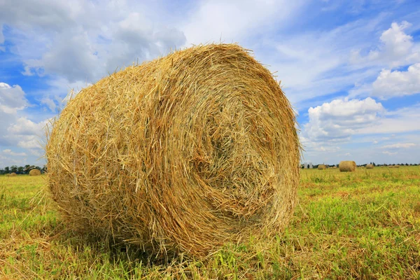 Haystack on the filed — Stock Photo, Image