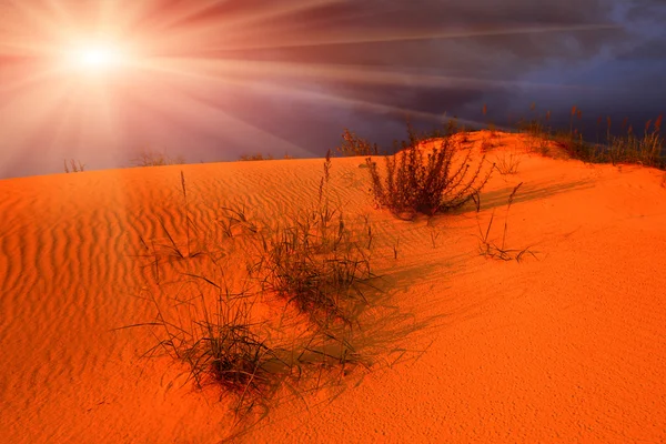 Pôr do sol no deserto — Fotografia de Stock