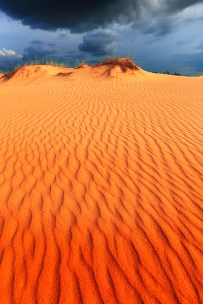 Duinen in zand woestijn onder donkere hemel voor thunder storm — Stockfoto