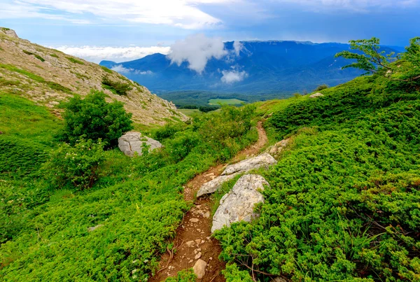 Camino en las montañas de Crimea — Foto de Stock