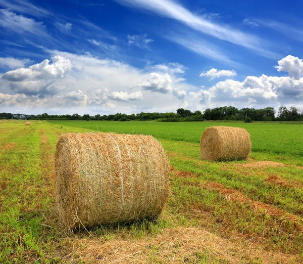 saman ile alan yaz zaman alır