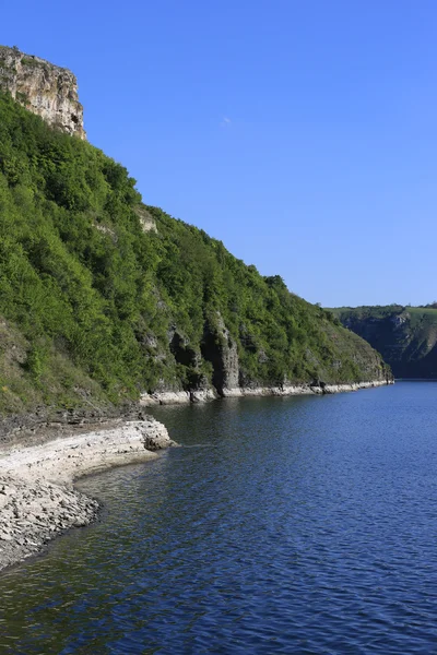 Pobřeží jezera v hezký den — Stock fotografie