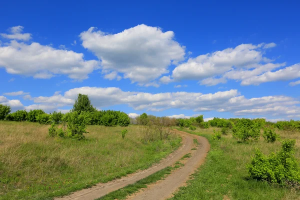 Rut road in steppe — Stock Photo, Image