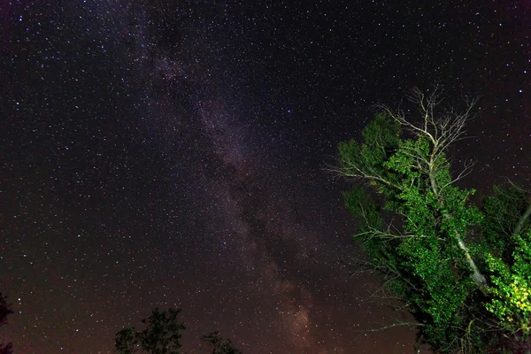 Cielo nocturno — Foto de Stock