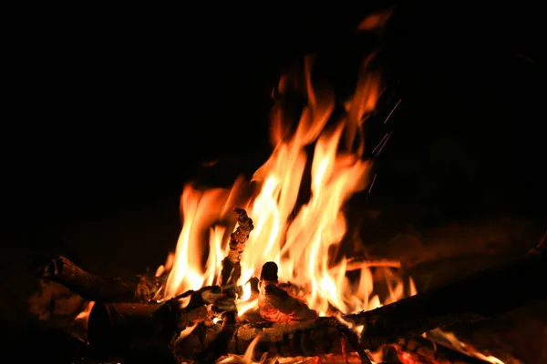 Camp fire in dark night — Stock Photo, Image