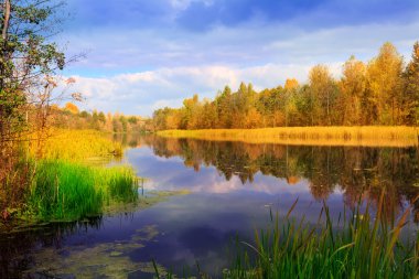 Göl kenarında güzel sonbahar sahne