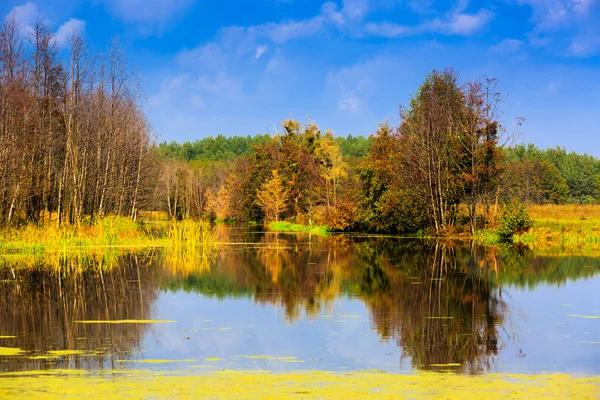 Autumn scene on lake — Stock Photo, Image