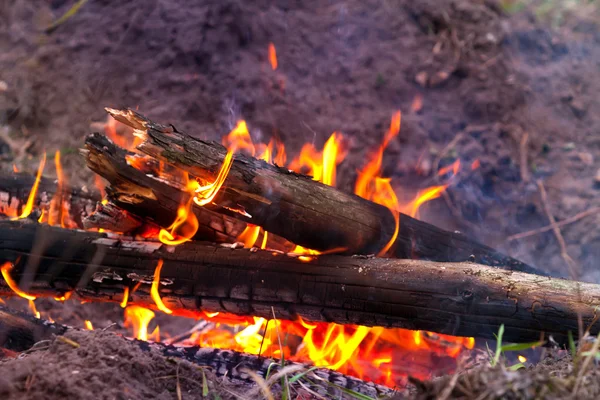 Flame of camp fire — Stock Photo, Image