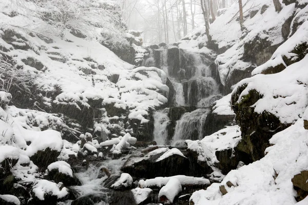 Ландшафт Водопадом Зимнем Горном Лесу Время Снегопада Возьмите Карпатах Украина — стоковое фото