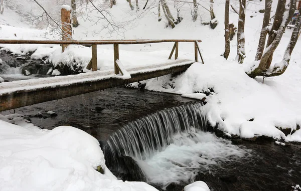 Nevicate Sul Ponte Legno Nella Foresta Invernale Prendilo Nelle Montagne — Foto Stock