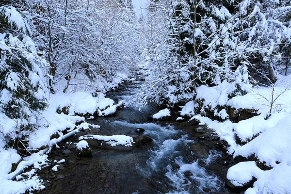 Paisaje Con Río Montaña Bosque Invierno — Foto de Stock