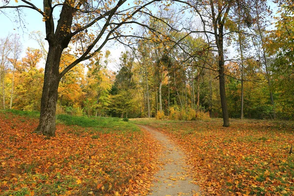 Ładny Jesienny Krajobraz Drogą Parku — Zdjęcie stockowe
