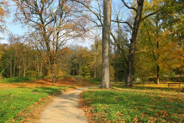 Krajina Lávkou Podzimním Parku Pěkný Slunečný Den — Stock fotografie