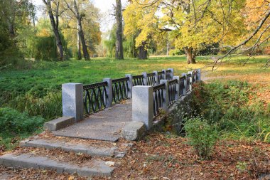Autumn City Park 'taki eski köprü. Ukrayna 'daki Aleksandriya Parkı