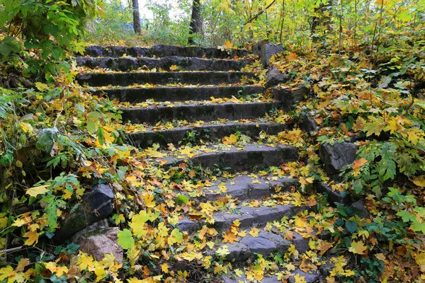 Sonbahar Parkında Eski Taş Kapaklı Patika — Stok fotoğraf