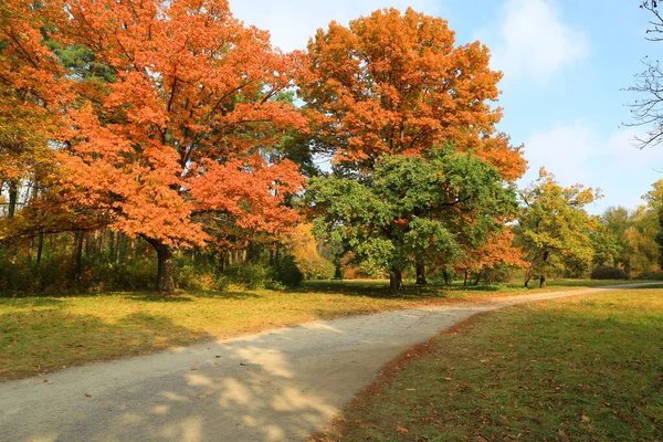 Ładny Krajobraz Patway Jesiennym Parku Słoneczny Dzień Weź Parku Alexandria — Zdjęcie stockowe