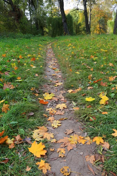 公园小径上的秋天落叶景观 — 图库照片