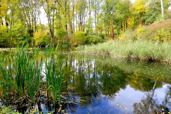 Sonbahar Parkında Küçük Gölü Olan Manzara — Stok fotoğraf