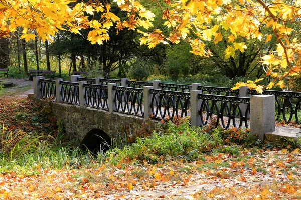 Небольшой Пешеходный Мост Осеннем Парке Возьмем Украину — стоковое фото