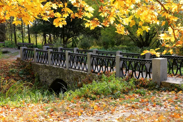 Sonbahar parkında küçük bir köprü. Ukrayna 'dan al.