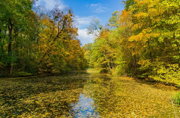 Autumn Landscape Lake Covered Fallen Leafs Deep Forest — Stock Photo, Image