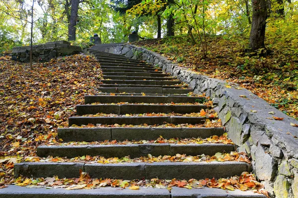 秋天公园里石阶的场景 — 图库照片