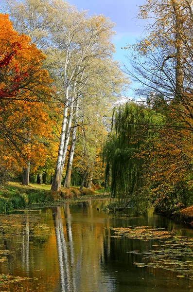 Frumoasă Scenă Însorită Liniștită Lac Parc Toamnă — Fotografie, imagine de stoc