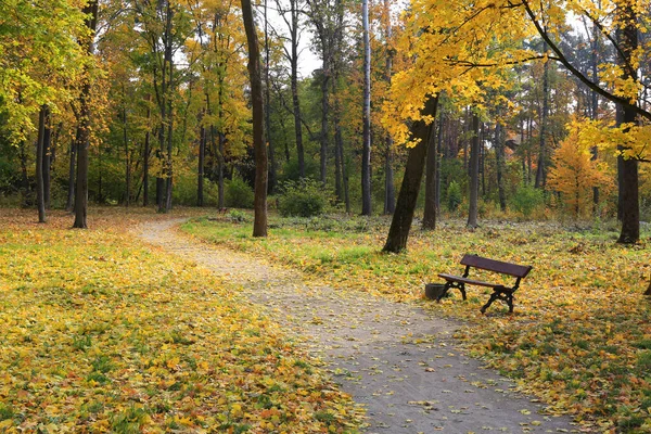 风景与秋天的路径和长椅在公园 拿去乌克兰吧 — 图库照片