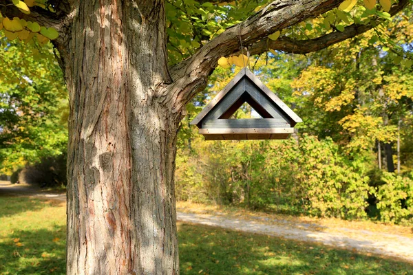 Karmnik Ptaków Gałązce Drzewa Jesiennym Parku — Zdjęcie stockowe