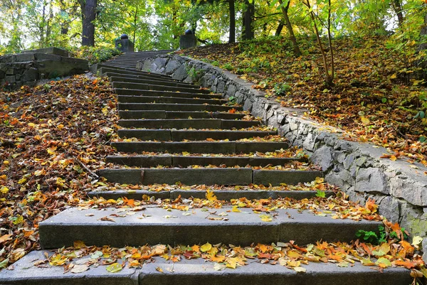 秋の公園の石段のある風景 ウクライナのOlexabdria Parkでの素敵な経路 — ストック写真