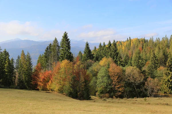 Paisaje Otoñal Las Montañas Cárpatos Ucrania —  Fotos de Stock