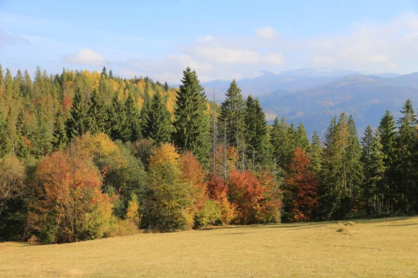 Autumn Scene Carpathians Take Ukraine — Stock Photo, Image