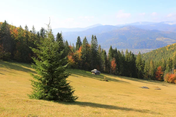 Вид Гору Карпатах Село Яремче Украине — стоковое фото