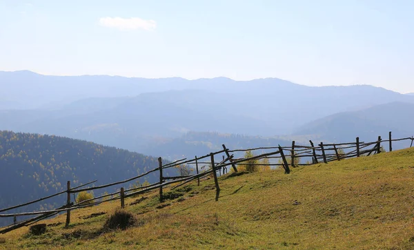 Cerca Madera Prado Montaña Cárpatos Ucrania —  Fotos de Stock