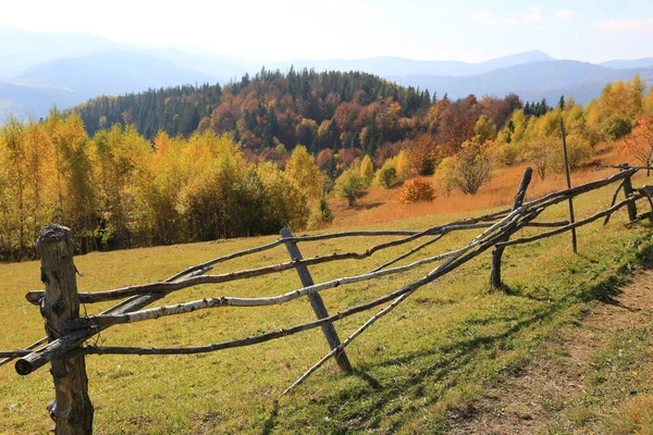 山の牧草地の境界線に木製のフェンスと晴れた秋の風景 ウクライナのカルパティア — ストック写真