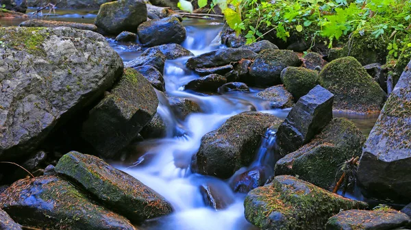 Landscape Small Mountain Stream Wet Stones — Stock Photo, Image