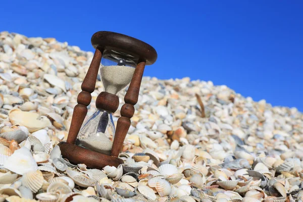 Old Vintage Hourglass Seashell Surface — Stock Photo, Image