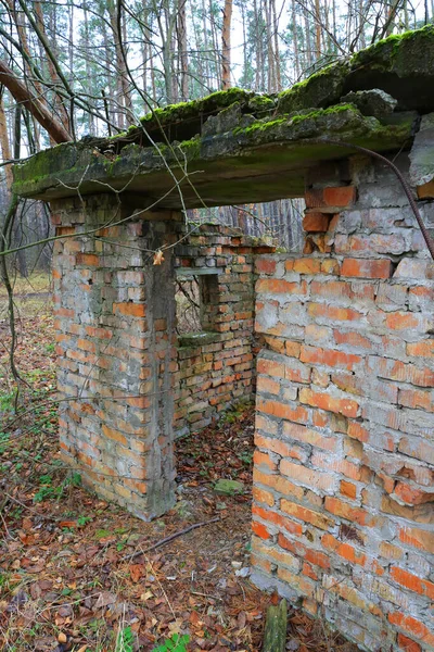 Paisaje Con Ruina Perdida Abandonada Bosque — Foto de Stock