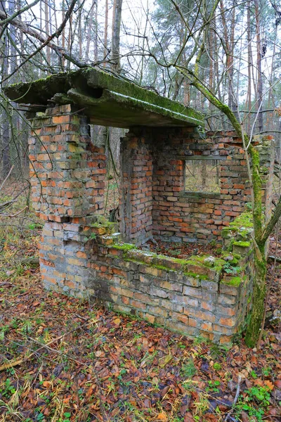 Vieux Bâtiment Perdu Brisé Dans Forêt Sauvage — Photo