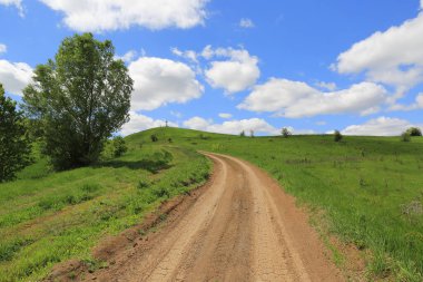 Nice landscape with diret road in steppe